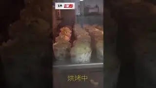 ZMMAG 5 trays convection oven