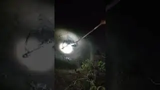 BERBURU KEPITING MALAM HARI #1 #sibolangchannel  #shorts