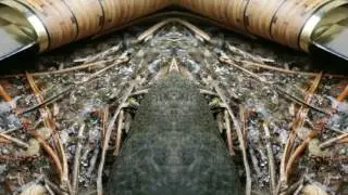 Birch bark handle