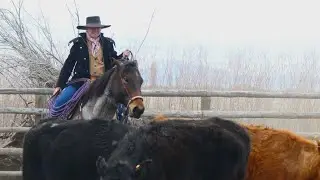 Women Ranchers in Paradise