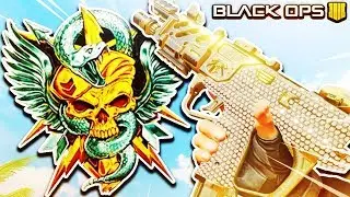The MELT MACHINE... (Best Saug 9MM Class Setup) - Black Ops 4