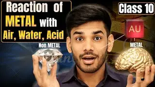 Chemical Properties of Metal | Reaction of Metal with Air, Water & Acid | Metals and Non-Metals 