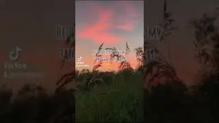 Цытаты из мультфильмов