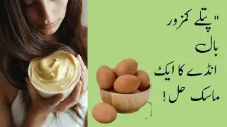 Easy Egg Hair Mask // پتلے، ٹوٹتے اور جھڑتے بالوں کا زبردست گھریلو علاج!