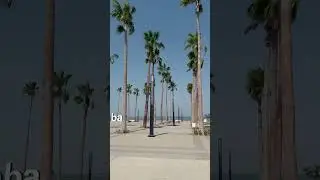 Al khobar #travel #middleeast #seaview #niceview #shortvideo #Saudi Arabia