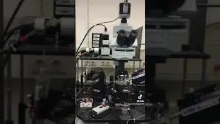 Whole-Cell Patch-Clamp electrophysiology in brain slices - Current and Voltage-Clamp Modes