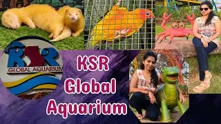 KSR Global Aquarium, Sawantwadi | India's First Fish Theme Park