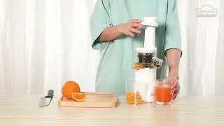 Slow Masticating Mini Juicer Extractor