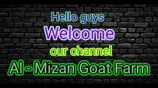 Al-Mizan Goat Farm introduction video