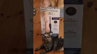 Smart Home Vacuum ~great for pet owners 😺#pettech