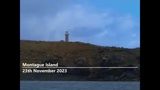 Diving Montague Island 23-11-2023