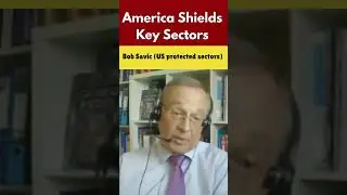 America Shields Key Sectors,#ustariffs #thedemocracyforum #globaltrade