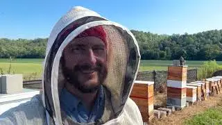 Love It! - Building a Bee Business #99