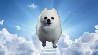 Cheems Tribute