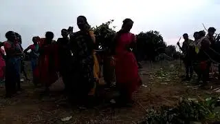 Tribal: Adivasi Koya Vijja Pandum Celebration