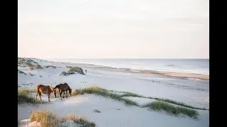 The Ultimate Travel Guide To The Outer Banks North Carolina