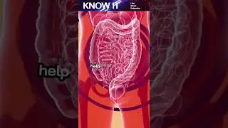 10 Exciting Facts About Nutritional Science | KNOW iT
