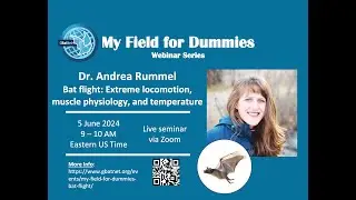 Locomotion, Muscle Physiology, and Temperature in Bats - 