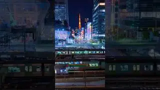 #tokyotower #hamamatsucho #tokyo #japan