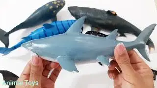 Plastic Animal Unboxing || Animal Collection Tiger shark, Humpback whale, Killer whale, Megalodon