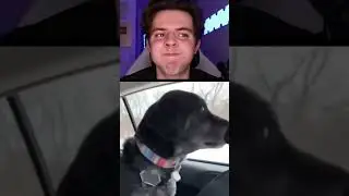 His dog started pooping on his bed... 🐕💩