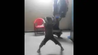 jai malhar mindblowing comedy dance