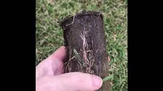 Soil test (Soil Savvy) for my centipede grass