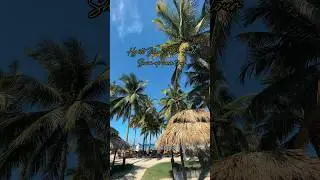 Hyatt Zilara Swim Up Room Tour #travel #hotel #jamaica #hyatt #allinclusive #allinclusiveresorts