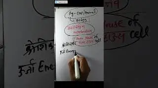MPPAT &ndash;2026 की पूरी जानकारी ll PAT test 2026 Exam CGPAT syllabus 2024 | CGPAT 2024 ki tyari