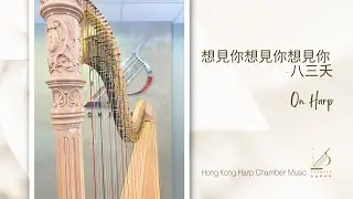想見你想見你想見你 -八三夭 (Harp cover)