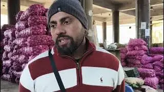15 जनवरी 2026।। सोलन की सब्जी मंडी से थोक व परचून भाव का ताजा अपडेट।।