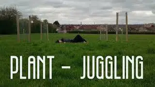 Plant Juggling Research Extract 2021 2022