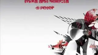 House Summer Compilation 2010 Vol. 1 (Mixa and Selecta Dj Peter).wmv