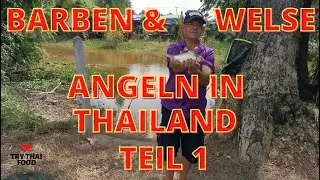 Angeln in Thailand Teil 1 - Barben und Wels angeln am Fluss - Leckeres Fischgericht - Thai Food