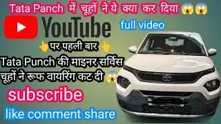 How to Tata Punch  Minor Service Wiring Shot Tata Punch ki Wiring Chuhon ne Kat Di @carrepairgirl01 