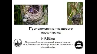 Как они стали кукушками: происхождение гнездового паразитизма