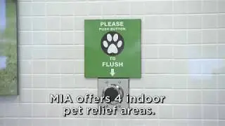 Miami International Airport: Pet Relief Areas