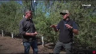 Entrevista a Manuel Barrera en programa de TV. Pasion por el Agro   UTALCA TV
