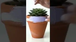 Aesthetic Planter DIY Hack You Need to Try