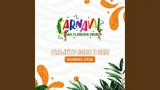 Quem Não Nasce pra Servir, Não Serve pra Viver. Salve! Salve! Sêo Dotô, Bravo Sinhô! o Rei...