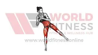 Standing Side Kick Demo