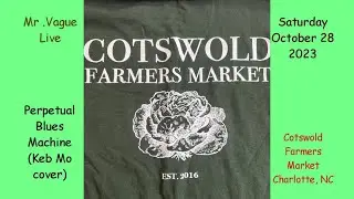 Perpetual Blues Machine (Keb Mo cover) ~ Live at Cotswold Farmers Market ~ Mr. Vague YouTube