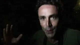 Jamaican Owl.mpeg