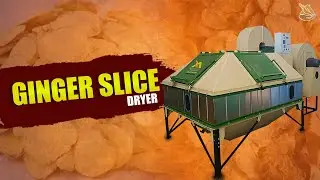 Ginger Drying Secrets Revealed| Ginger Slice Dryer| Turmeric Dryer| Aayush