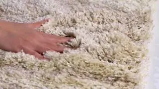 Ivory & Beige Portofino Shag Rug by Safavieh - PTS215B