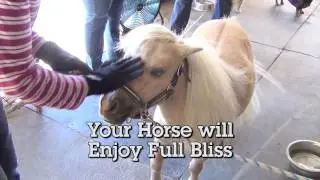 HandsOn Gloves: Groom & Massage Your Horse at the Same Time!