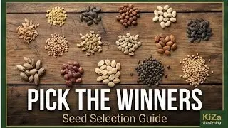 Episode 5: Seed Selection