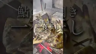 【プロの技】鮎を背開きして一夜干し『炭火で焼いたら旨すぎた』 #shorts #鮎 #魚の捌き方 #一夜干し #背開き#捌き職人#bbq