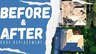 Transblue Projects | Roof Replacement