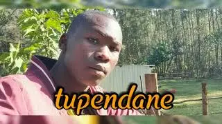TIGERVILLE (Libraaville)  - TUPENDANE (AUDIO)
